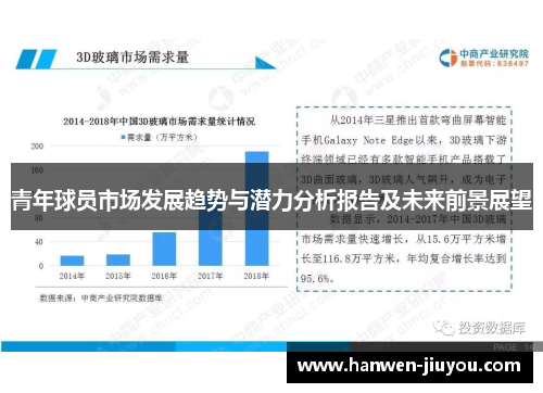 青年球员市场发展趋势与潜力分析报告及未来前景展望 青年球员市场发展趋势与潜力分析报告及未来前景展望